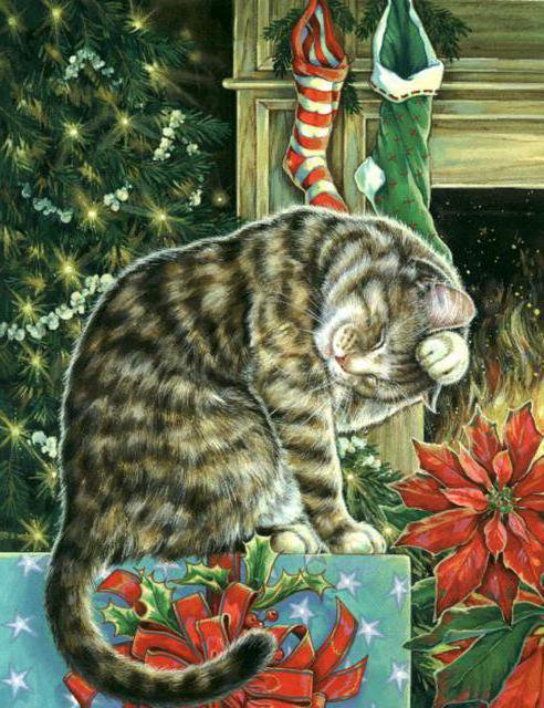 последнее прихорашевание - котики, новый год - оригинал