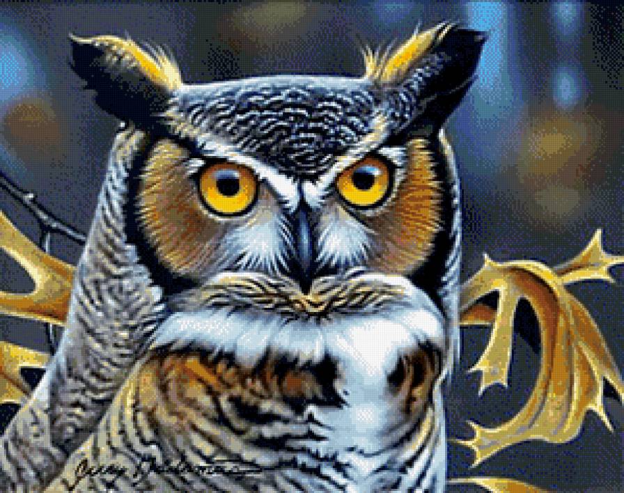 Сова - птицы, совы - предпросмотр