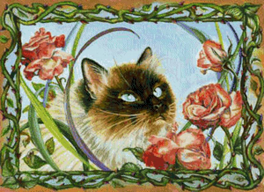 кошачий портрет - котики - предпросмотр