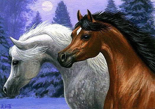 Лошадки - кони, лошади, животные - оригинал