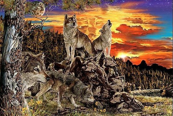 Волчата - оригинал