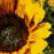 Предпросмотр схемы вышивки «подсолнухи» (№590100)
