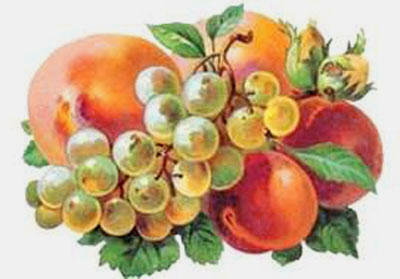 персики и виноград - оригинал