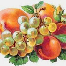 Оригинал схемы вышивки «персики и виноград» (№590113)