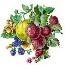 Оригинал схемы вышивки «фрукты» (№590114)