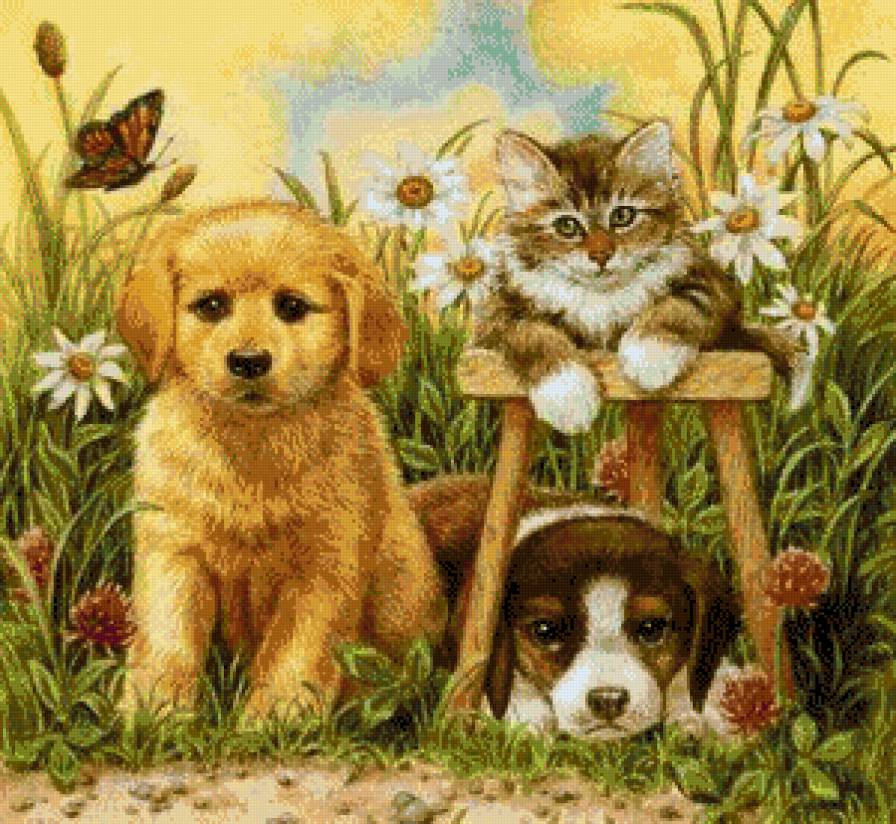 дружный портрет - портрет, собаки, котики, животные - предпросмотр