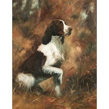 Схема вышивки «Спрингер спаниель»
