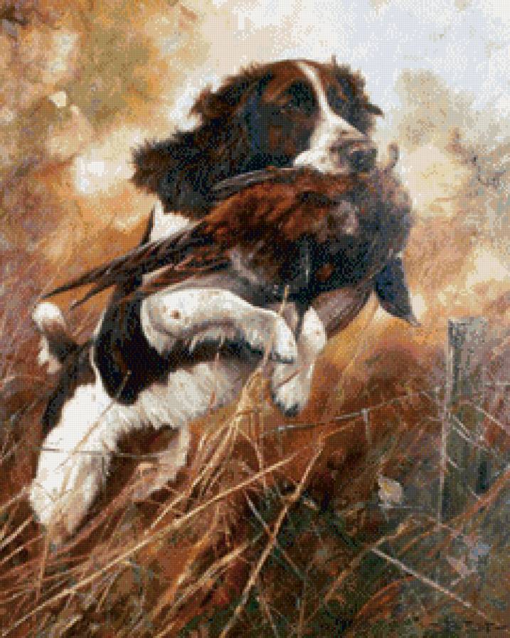 Спаниель с фазаном в прыжке - предпросмотр