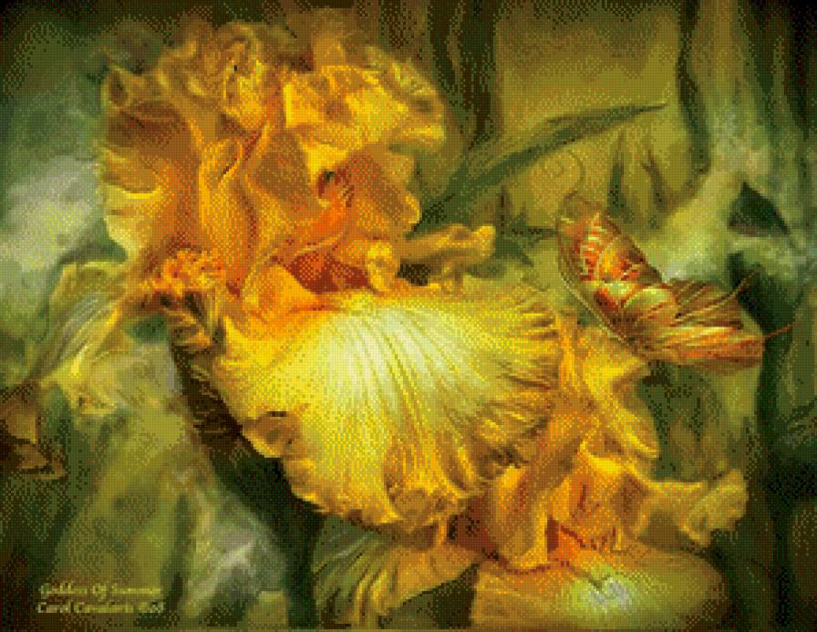 Ирис и бабочка - предпросмотр