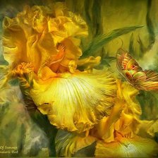 Схема вышивки «Ирис и бабочка»