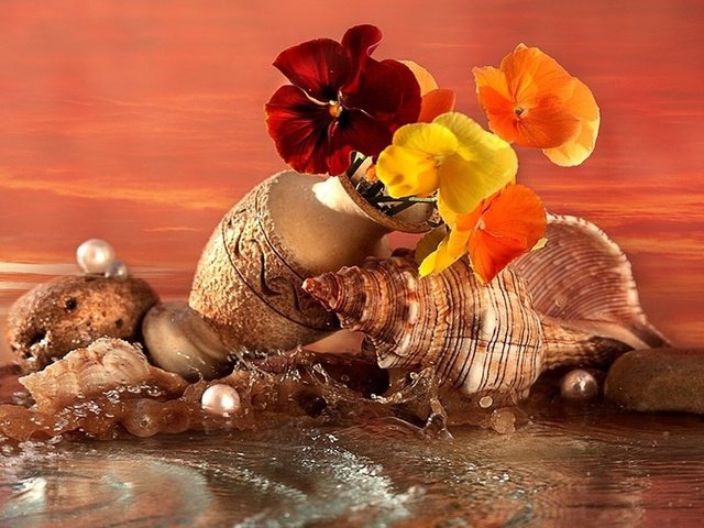цветы - цветы, море, ракушка - оригинал