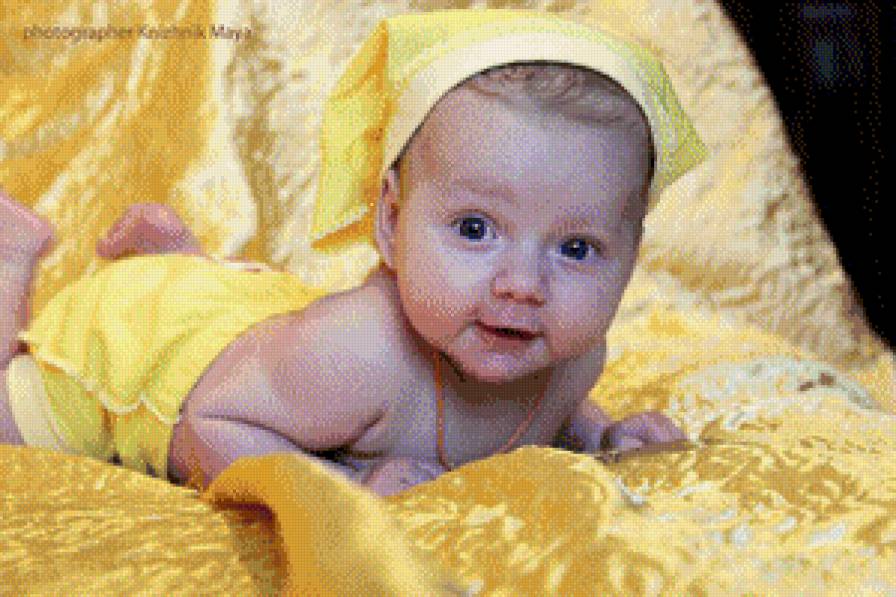 Желточек - предпросмотр