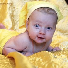 Схема вышивки «Желточек»