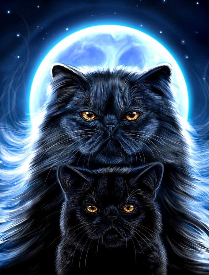 Очень чёрные кошки - луна, кошки - оригинал