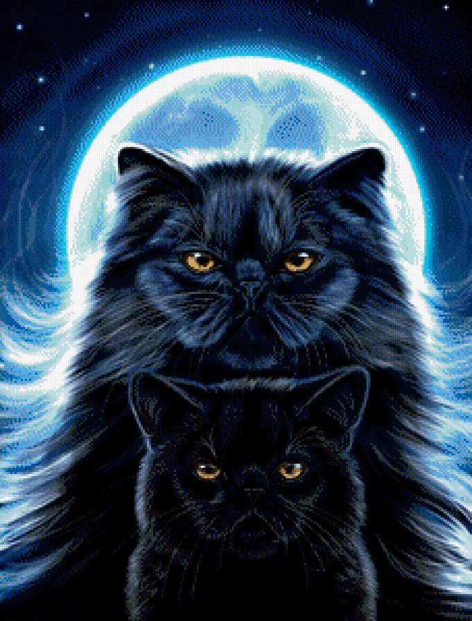 Очень чёрные кошки - луна, кошки - предпросмотр
