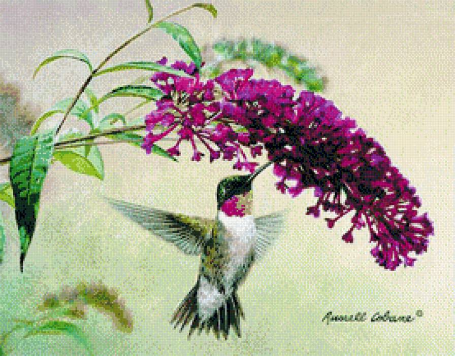 Птица - предпросмотр