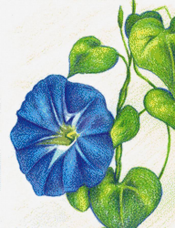 Вьюнок - искусство, вьюнок, подушка, лето, панно, цветок, флора - предпросмотр