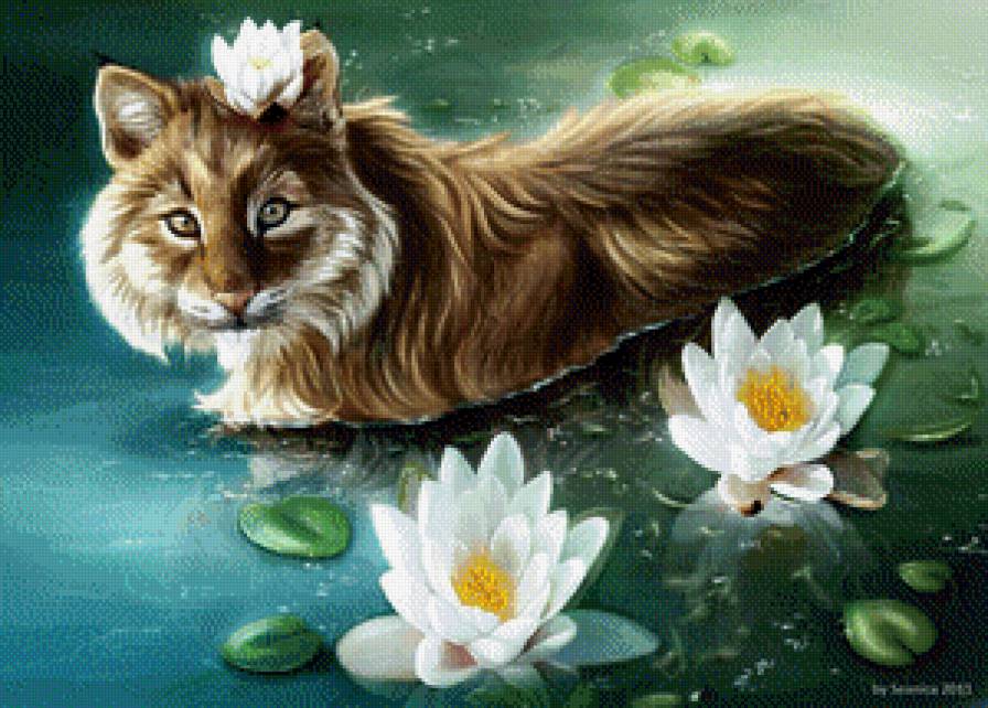 кот - кот - предпросмотр