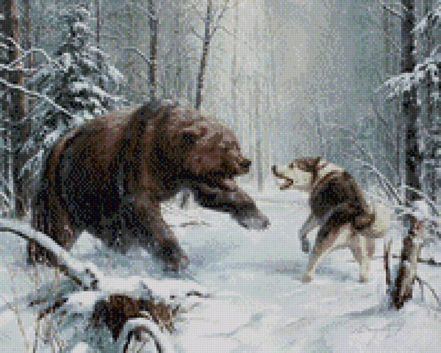 атака - волк, медведь, природа, зима, лес, собака - предпросмотр