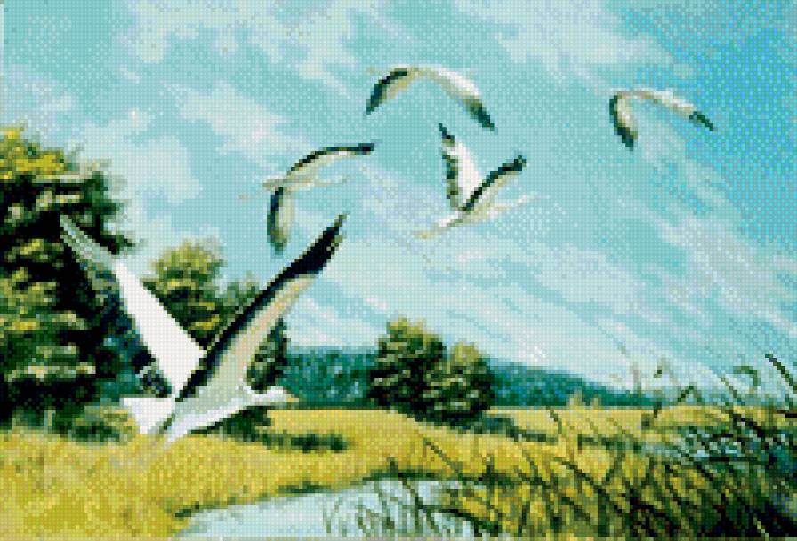 летят журавли - птицы, поле, полет, аисты - предпросмотр