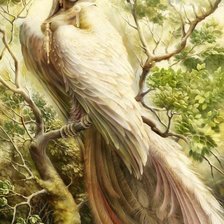 Схема вышивки «сирин»