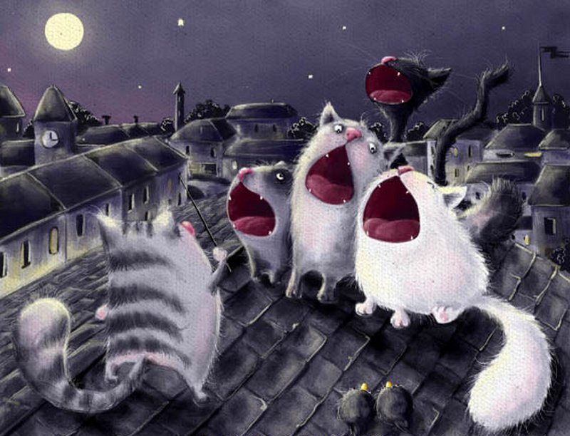 Кошки на крыше - кошки ночь песня оркестр - оригинал