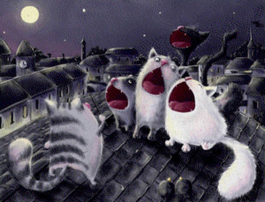 Кошки на крыше - кошки ночь песня оркестр - предпросмотр