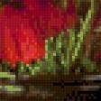 Предпросмотр схемы вышивки «красный натюрморт» (№591560)