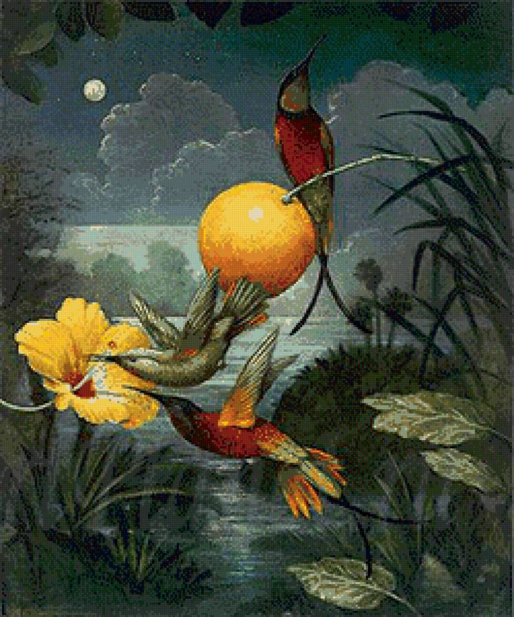 №591605 - природа, птицы - предпросмотр