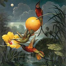 Схема вышивки «№591605»