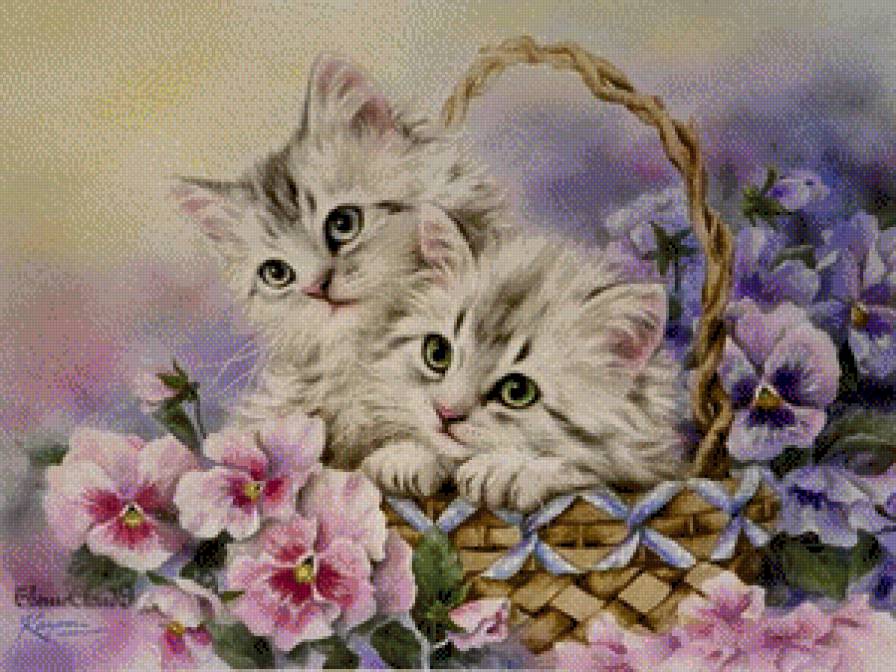 Котятки - предпросмотр