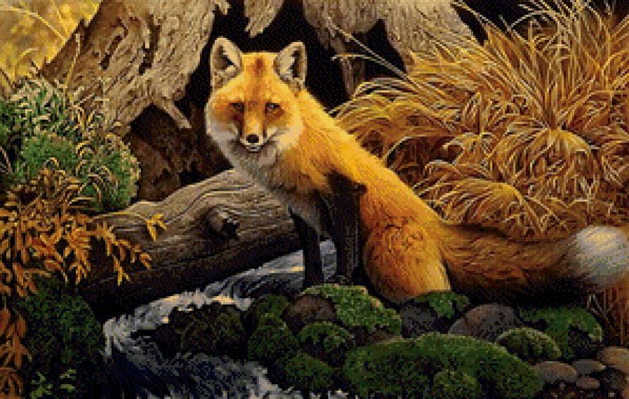 Лисичка - животные, лисы - предпросмотр