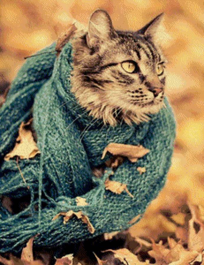 кот в шарфике - кот, кошка, осень, животные - предпросмотр