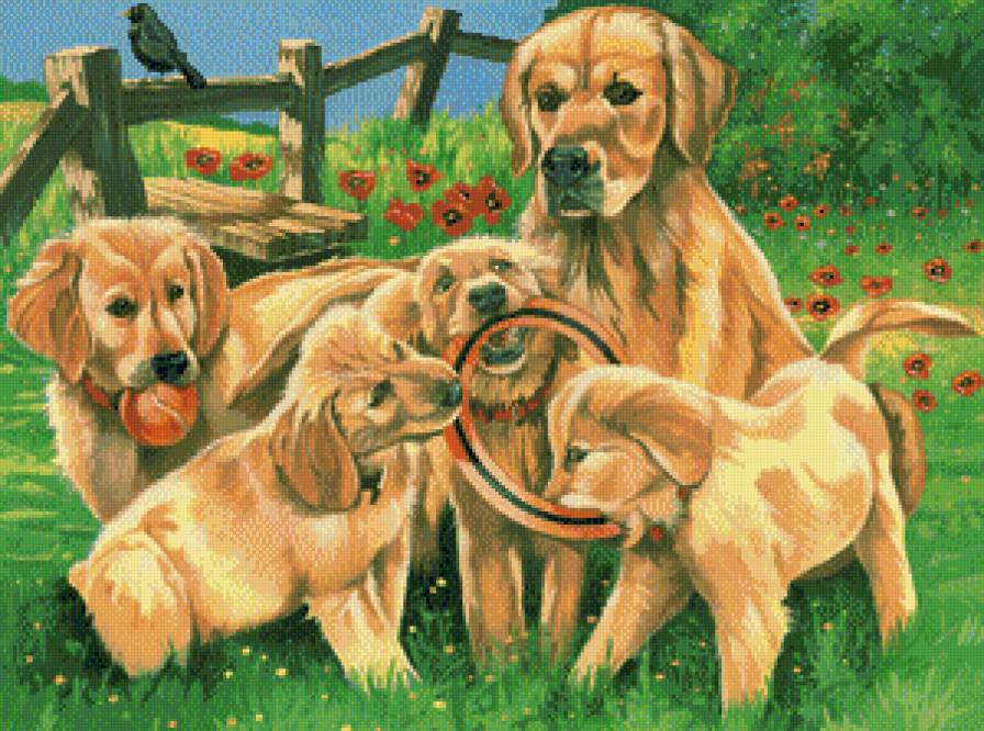 Игривые щенки - собаки, животные - предпросмотр