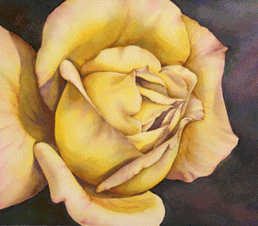 №591976 - предпросмотр