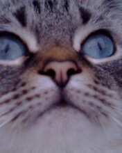 №592049 - оригинал