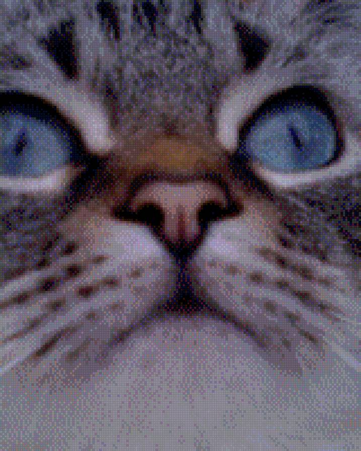 №592049 - предпросмотр