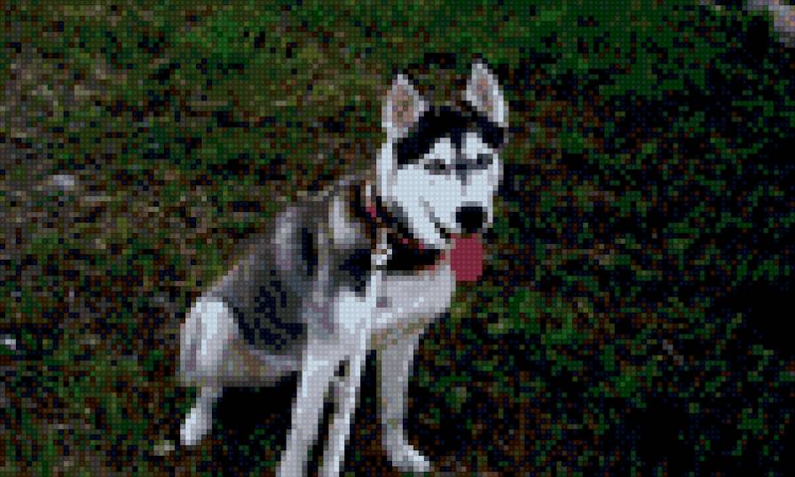 №592062 - предпросмотр