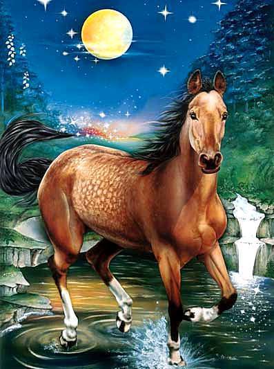 Лошадка - ночь, животные, лошадь, луна - оригинал