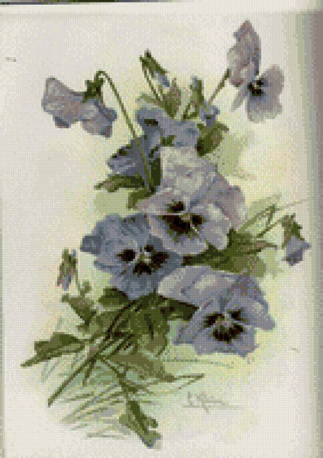 анютины глазки 2 - цветы - предпросмотр