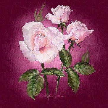 68 - розы, цветы - оригинал