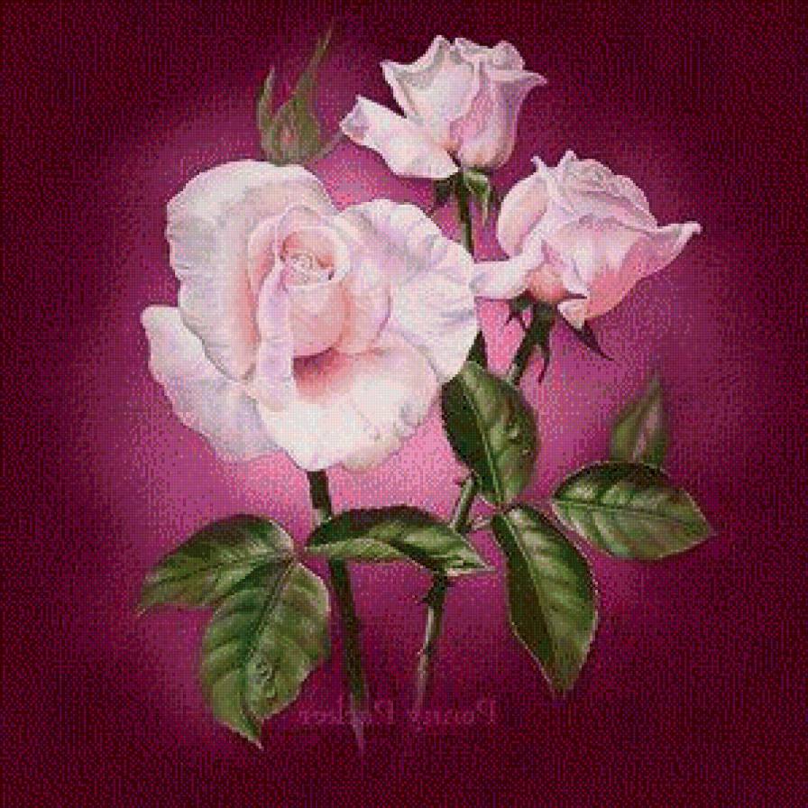 68 - розы, цветы - предпросмотр