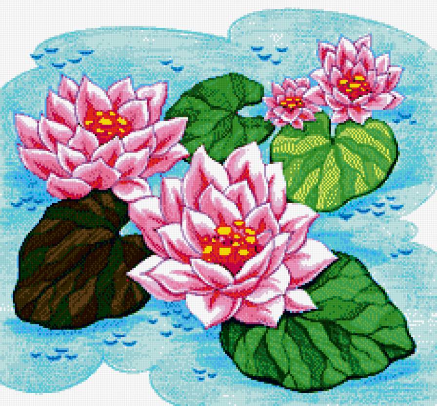 Лотосы - цветы, восток, азия - предпросмотр