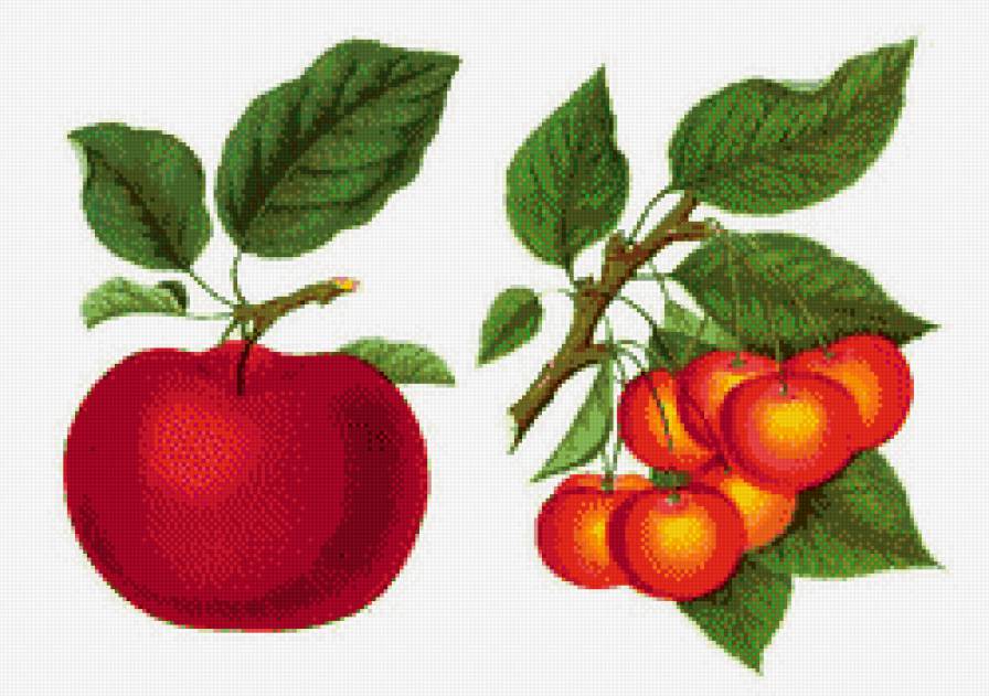 Яблоко и черешня - фрукты, для кухни, натюрморт - предпросмотр