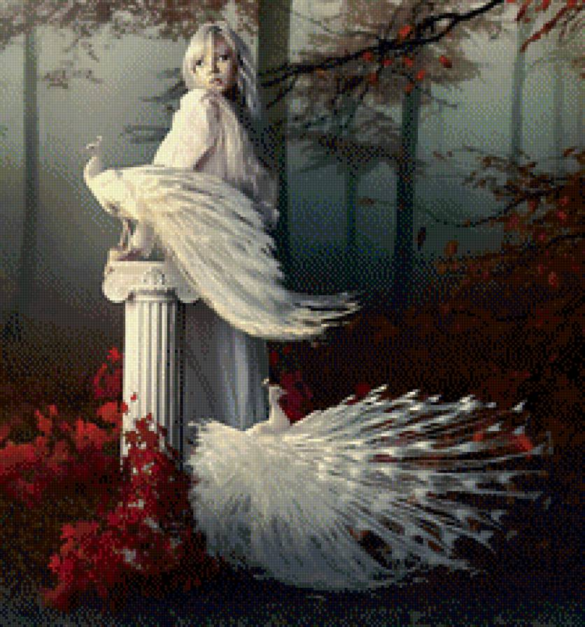 прогулка - павлины, девушка - предпросмотр