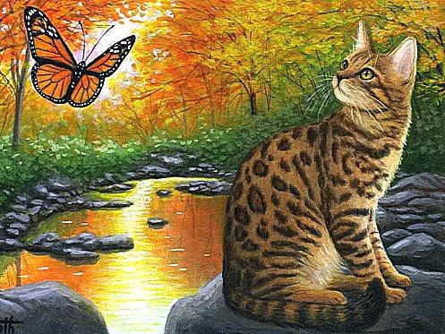 Кошка и бабочка - кошки, животные - оригинал