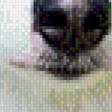 Предпросмотр схемы вышивки «собака» (№593184)