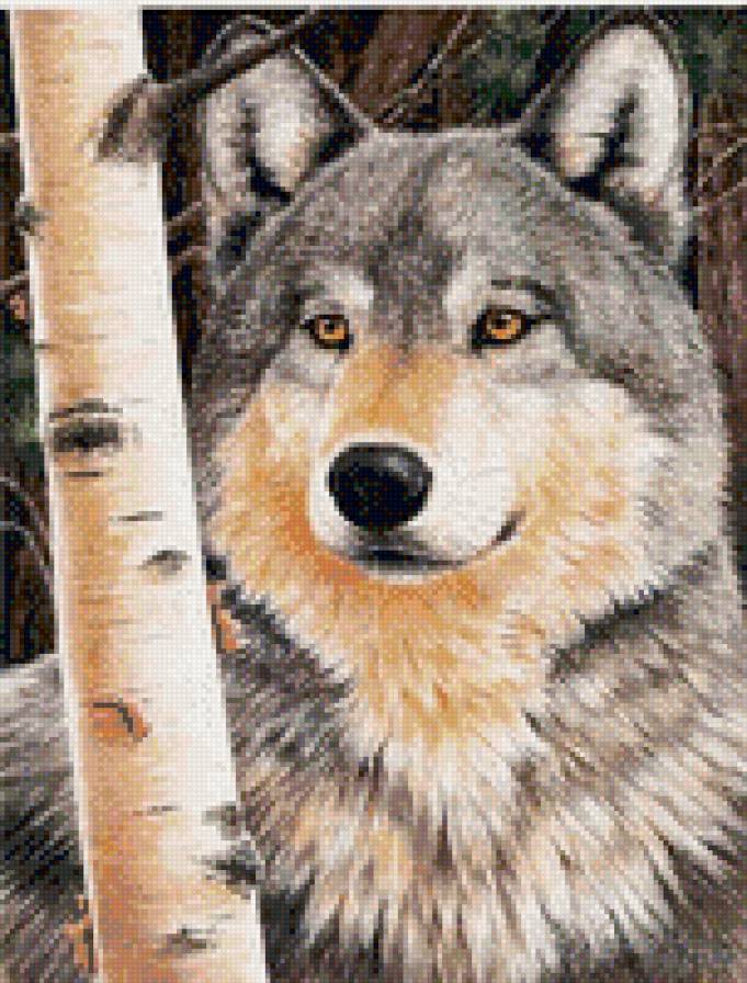№593211 - животные, волк - предпросмотр