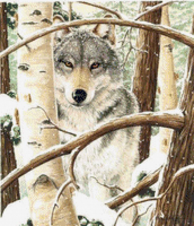 №593213 - животные, волк - предпросмотр