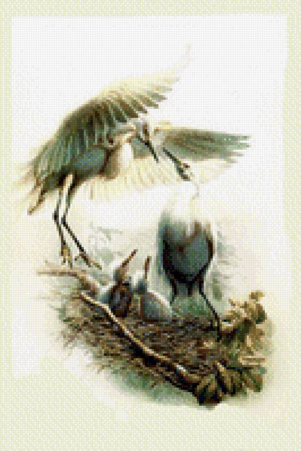 №593251 - предпросмотр